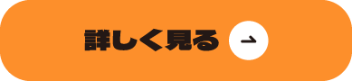 詳しく見る
